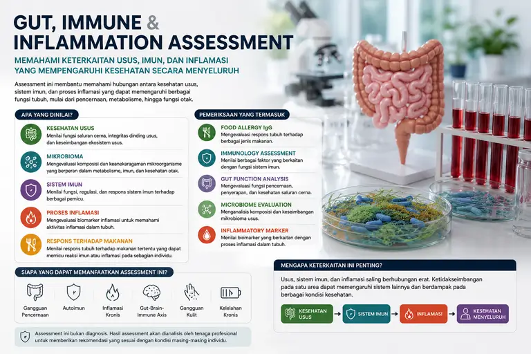 Infografik Gut, Immune & Inflammation Assessment yang menjelaskan hubungan kesehatan usus, sistem imun, mikrobioma, dan inflamasi dalam menjaga kesehatan tubuh secara menyeluruh.