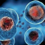 Ilustrasi regulasi dan legalitas stem cell therapy Indonesia dalam konteks terapi regeneratif