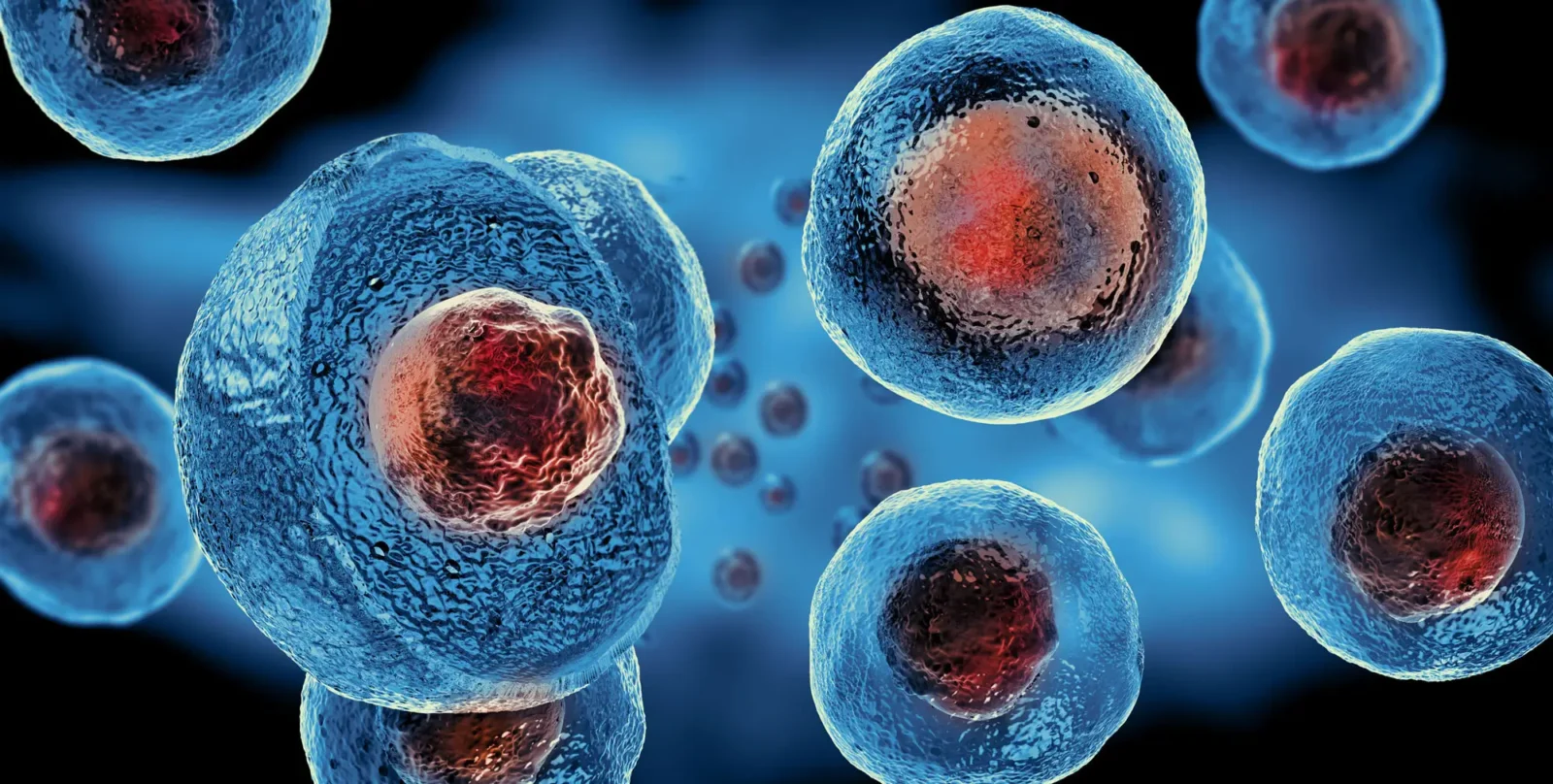 Ilustrasi regulasi dan legalitas stem cell therapy Indonesia dalam konteks terapi regeneratif