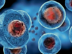 Ilustrasi regulasi dan legalitas stem cell therapy Indonesia dalam konteks terapi regeneratif