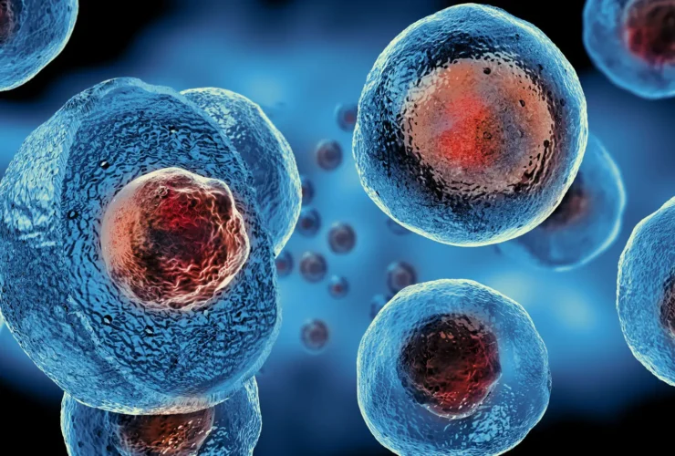 Ilustrasi regulasi dan legalitas stem cell therapy Indonesia dalam konteks terapi regeneratif