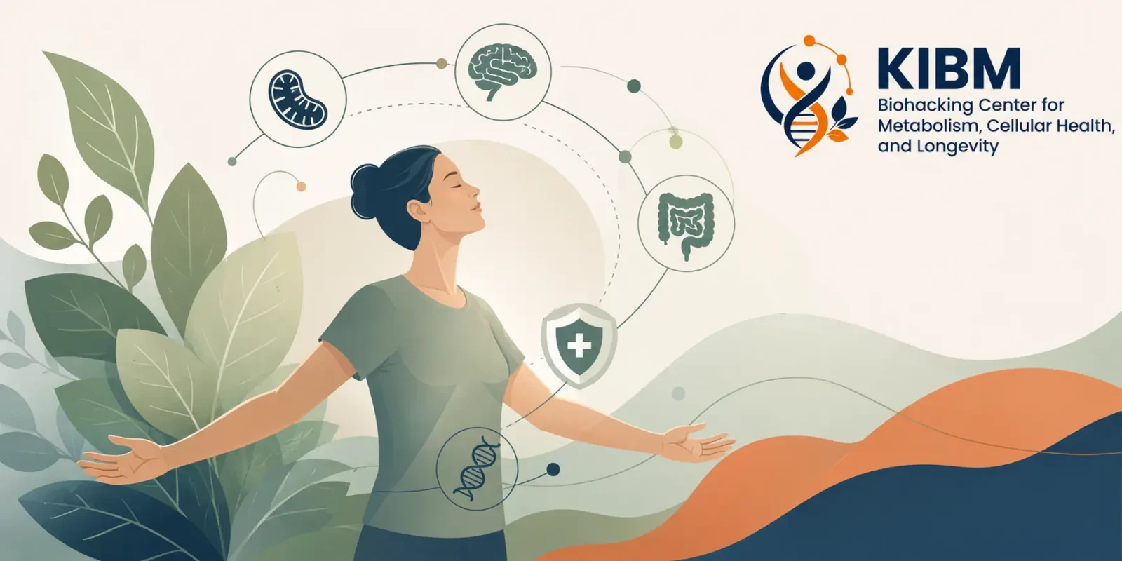 Ilustrasi Biohacking Center Indonesia yang menggambarkan hubungan metabolisme, kesehatan sel, sistem imun, kesehatan usus, fungsi otak, dan longevity sebagai pendekatan biologis terpadu.