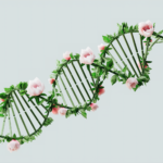 Diagram DNA metabolic array showing gene pathways involved in cellular metabolism