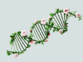 Diagram DNA metabolic array showing gene pathways involved in cellular metabolism
