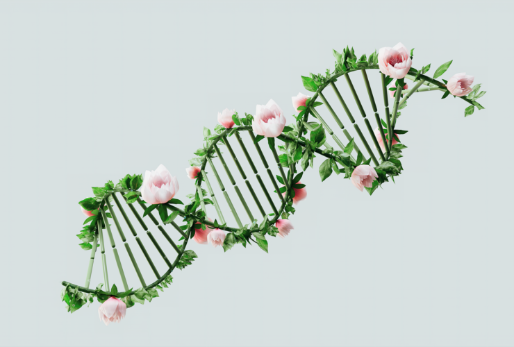 Diagram DNA metabolic array showing gene pathways involved in cellular metabolism