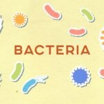 Ilustrasi cellular regeneration yang menunjukkan proses perbaikan dan pembaruan sel tubuh untuk menjaga kesehatan dan fungsi biologis.