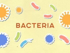 Ilustrasi cellular regeneration yang menunjukkan proses perbaikan dan pembaruan sel tubuh untuk menjaga kesehatan dan fungsi biologis.
