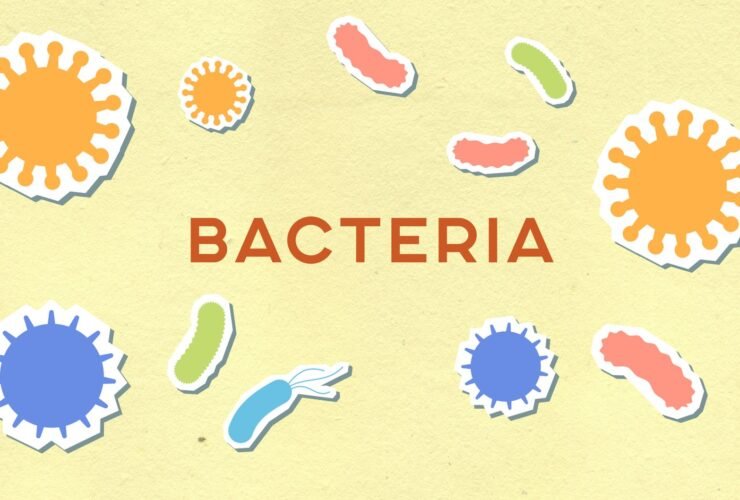Ilustrasi cellular regeneration yang menunjukkan proses perbaikan dan pembaruan sel tubuh untuk menjaga kesehatan dan fungsi biologis.