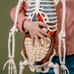 gut brain axis yang menunjukkan hubungan antara usus, mikrobioma, dan otak melalui sistem saraf dan sinyal biologis.