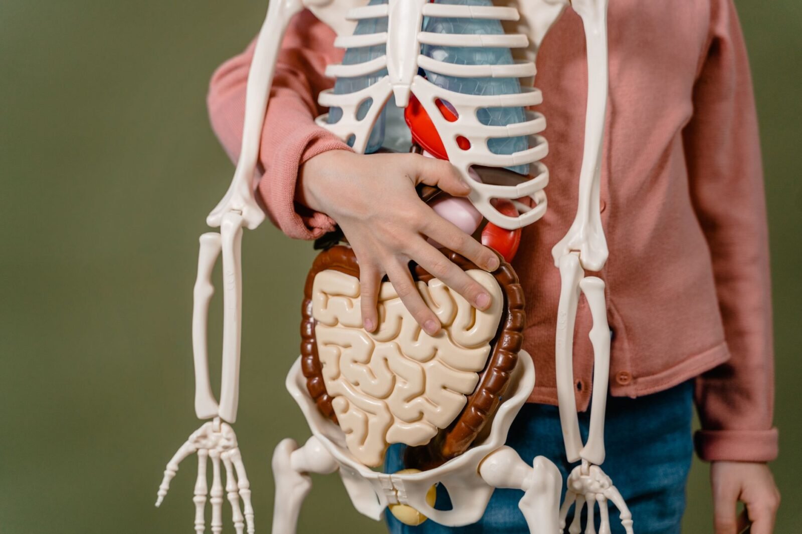 gut brain axis yang menunjukkan hubungan antara usus, mikrobioma, dan otak melalui sistem saraf dan sinyal biologis.