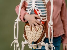 gut brain axis yang menunjukkan hubungan antara usus, mikrobioma, dan otak melalui sistem saraf dan sinyal biologis.