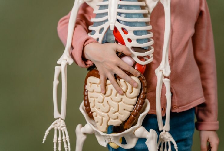 gut brain axis yang menunjukkan hubungan antara usus, mikrobioma, dan otak melalui sistem saraf dan sinyal biologis.
