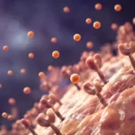 Ilustrasi realistis yang menunjukkan bagaimana resistensi insulin terjadi di dalam tubuh ketika reseptor sel kehilangan sensitivitas terhadap hormon insulin.