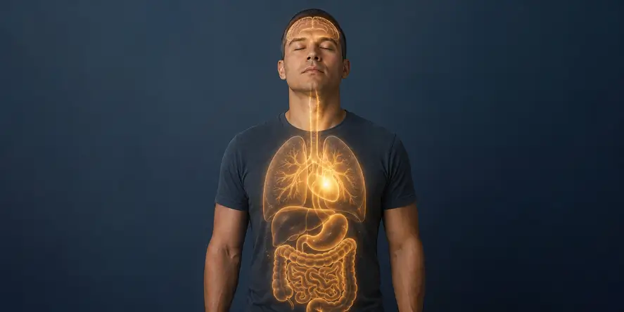 Ilustrasi seorang pria dengan visual organ tubuh yang menggambarkan sinyal tubuh sebagai komunikasi biologis antara otak, jantung, paru-paru, saluran pencernaan, dan metabolisme.